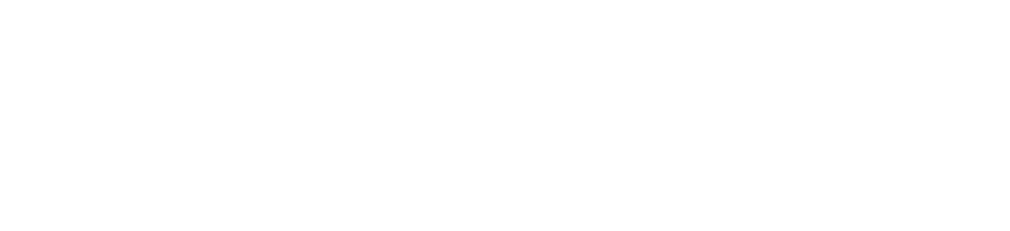 陸上とは違う優雅なひと時をご提案 家族や大切な人と過ごす非日常体験