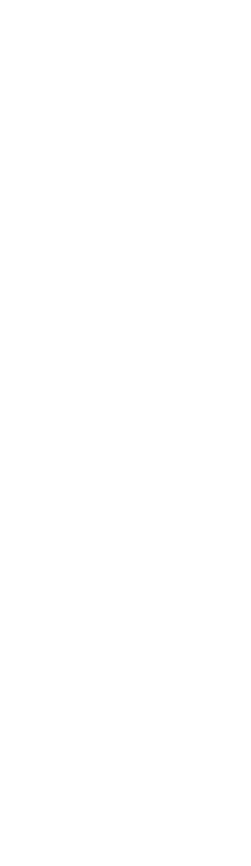 陸上とは違う優雅なひと時をご提案 家族や大切な人と過ごす非日常体験